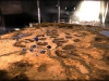 ruse_djebel002_web