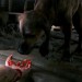 Ryse