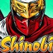 SHINOBI3DSR