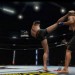 UFC Undisputed 3